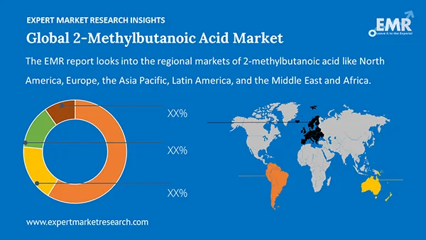 Global 2-Methylbutanoic Acid Market Region