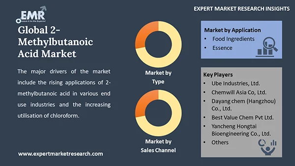 Global 2-Methylbutanoic Acid Market Segment