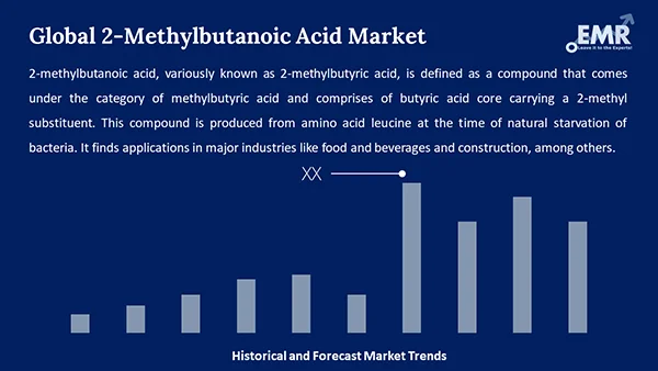 Global 2-Methylbutanoic Acid Market