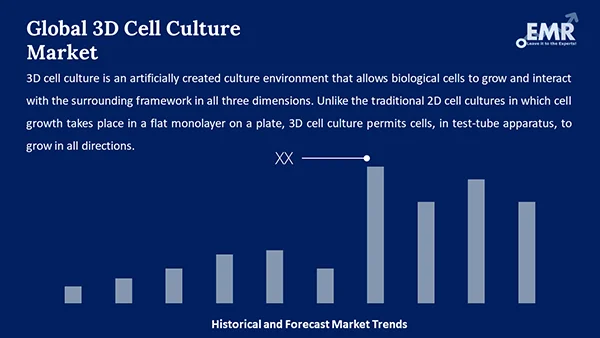 Global 3D Cell Culture Market