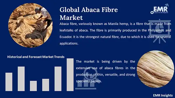 Global Abaca Fibre Market