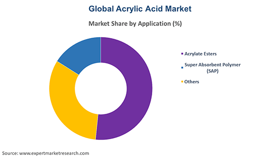Global Acrylic Acid Market By Application 