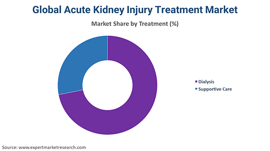 Global Acute Kidney Injury Treatment Market By Treatment