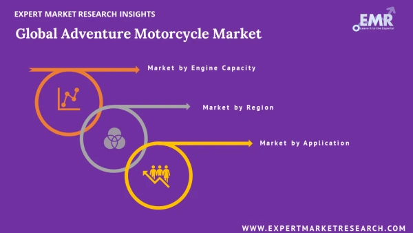 Global Adventure Motorcycle Market by Segments