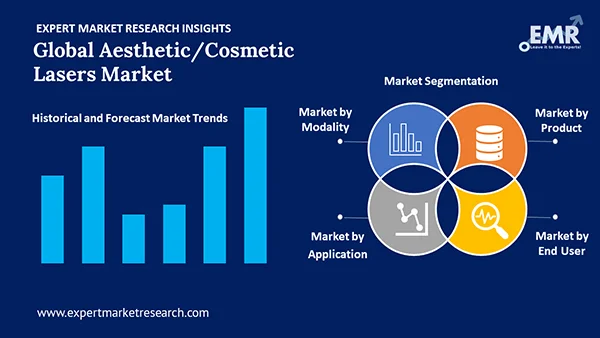 Global Aesthetic Cosmetic Lasers Market by Segment