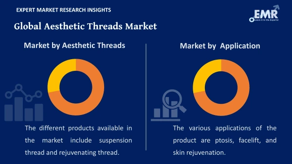 Global Aesthetic Threads Market by Segments