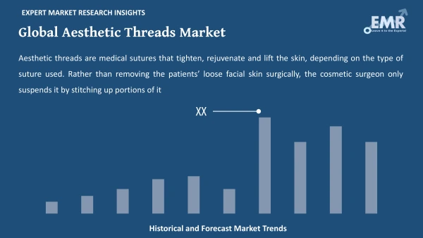 Global Aesthetic Threads Market