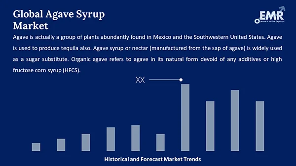 Global Agave Syrup Market