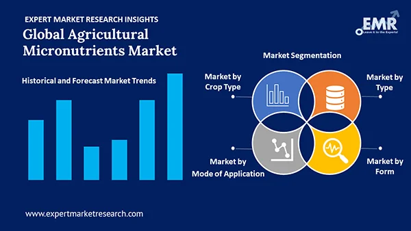 Global Agricultural Micronutrients Market by Segment