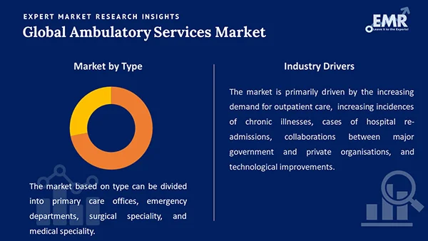 Global Ambulatory Services Market by Segment