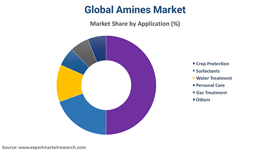 Global Amines Market By Application