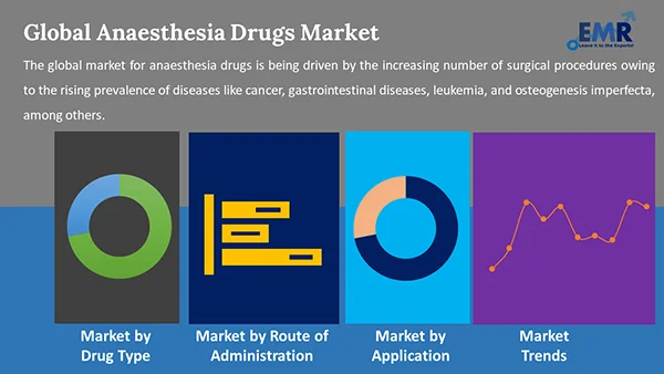 Global Anaesthesia Drugs Market by Segment