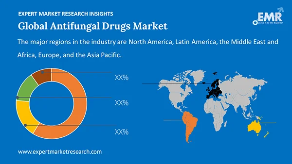 Global Antifungal Drugs Market by Region