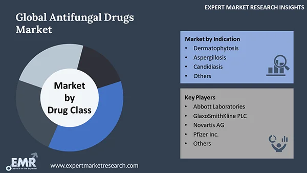 Global Antifungal Drugs Market by Segment