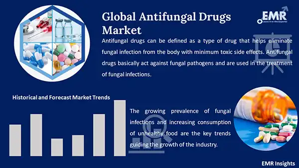 Global Antifungal Drugs Market