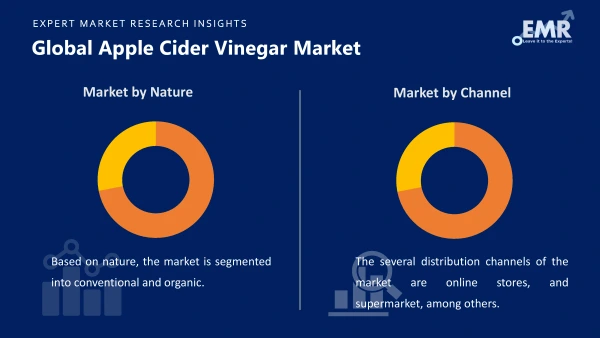 Global Apple Cider Vinegar Market by Segments