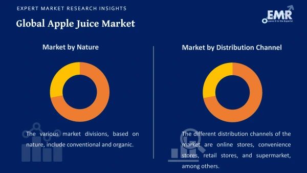 Global Apple Juice Market by Segments