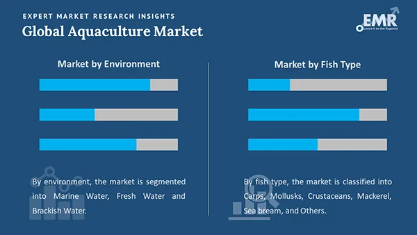 Global Aquaculture Market by Segment