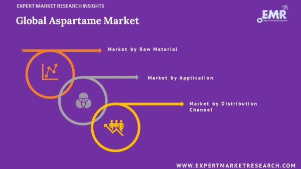 Global Aspartame Market by Segments