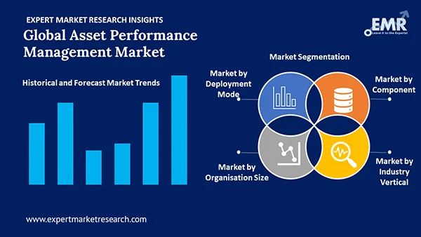 Global Asset Performance Management Market by Segment