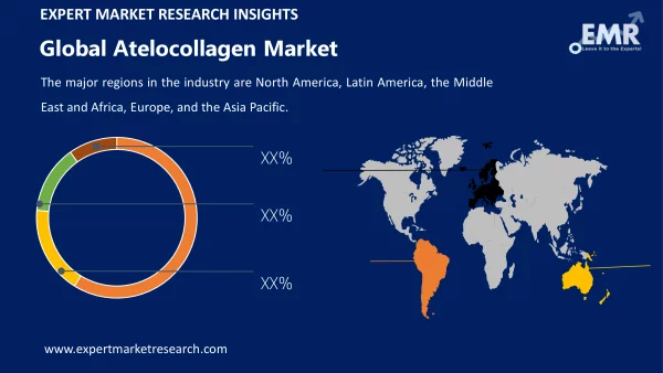 Global Atelocollagen Market by Region
