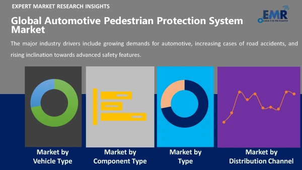 Global Automotive Pedestrian Protection System Market by Segments