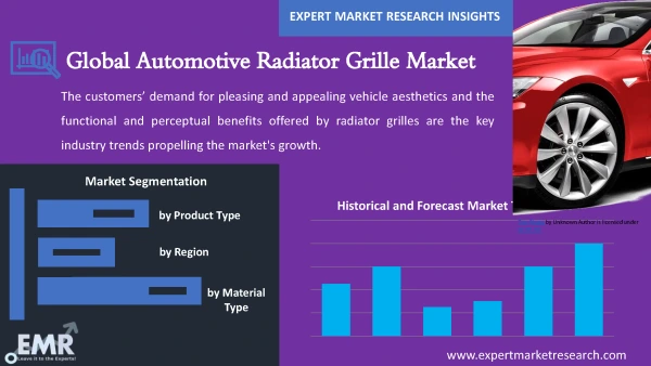 Global Automotive Radiator Grille Market by Segments