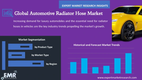 Global Automotive Radiator Hose Market by Segments