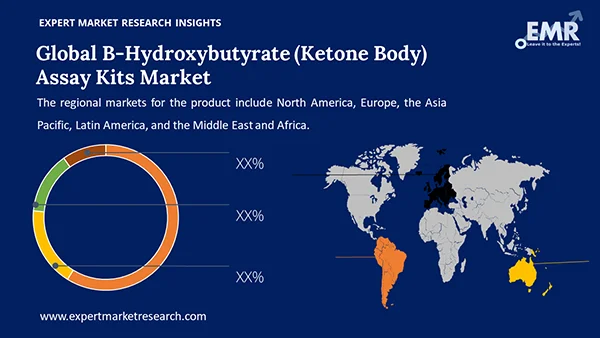 Global B Hydroxybutyrate Ketone Body Assay Kits Market by Region