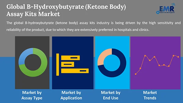 Global B Hydroxybutyrate Ketone Body Assay Kits Market by Segment