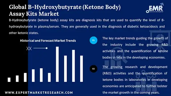 Global B Hydroxybutyrate Ketone Body Assay Kits Market