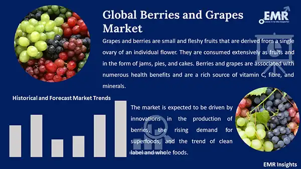 Global Berries and Grapes Market