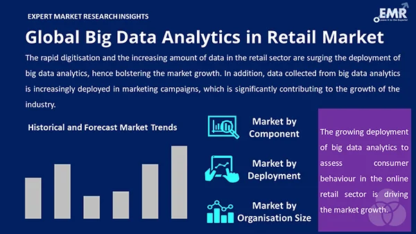 Global Big Data Analytics in Retail Market by Segment