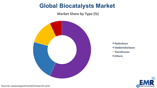 Biocatalysts Market by Type