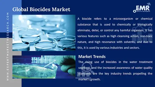 Biocides Market