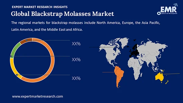 Global Blackstrap Molasses Market by Segment