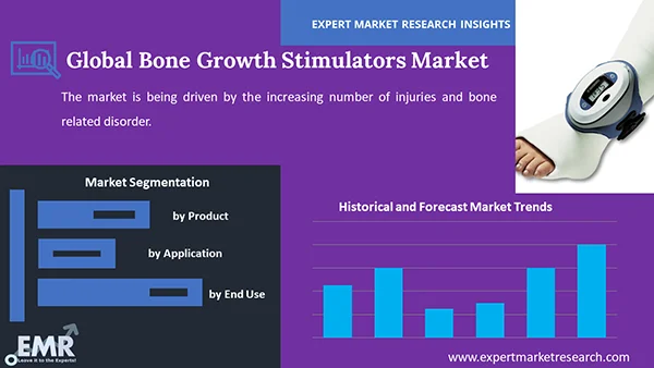 Global Bone Growth Stimulators Market by Segment