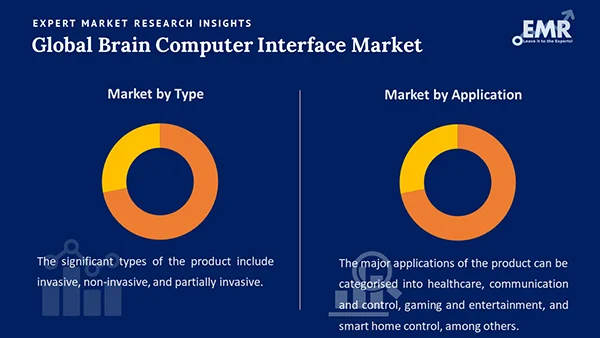 Global Brain Computer Interface Market by Segment