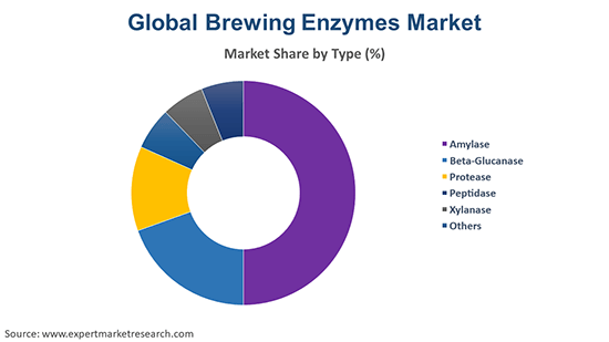 Global Brewing Enzymes Market