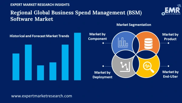Global Business Spend Management (BSM) Software Market by Segments