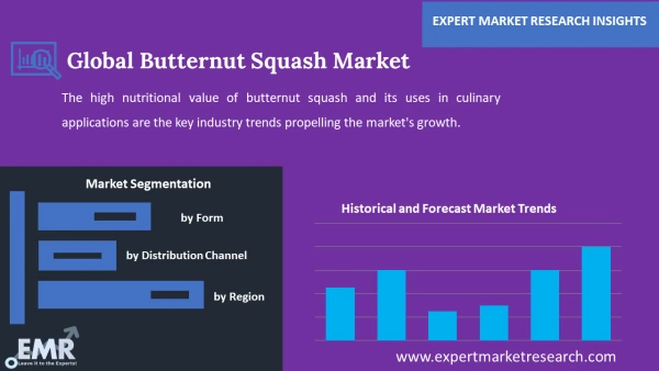 Global Butternut Squash Market by Segments