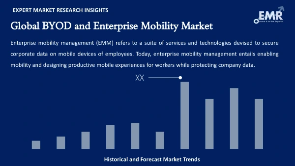 Global BYOD and Enterprise Mobility Market