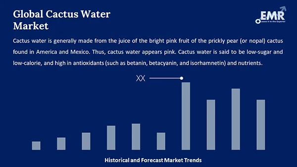 Global Cactus Water Market