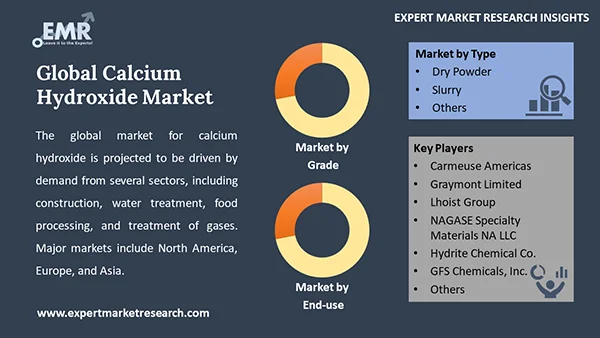 Global Calcium Hydroxide Market by Segment