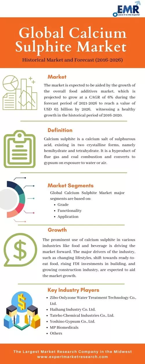 Calcium Sulphite Market