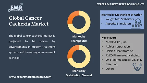 Global Cancer Cachexia Market by Segment