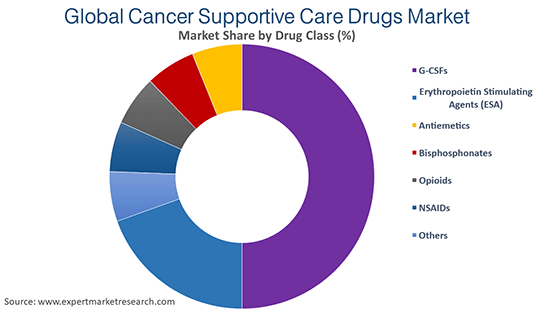 Global Cancer Supportive Care Drugs Market By Drug Class
