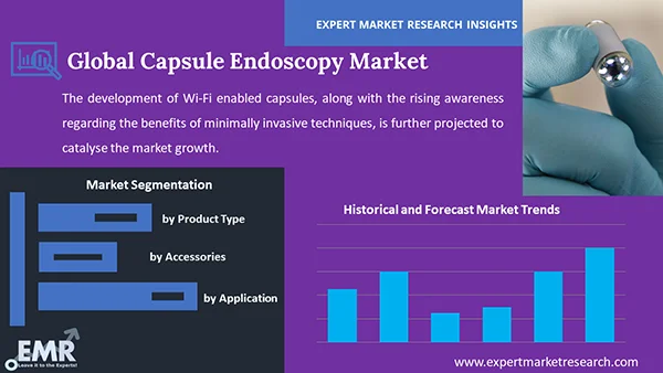 Global Capsule Endoscopy Market Segment