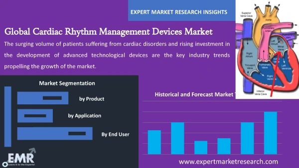 Global Cardiac Rhythm Management Devices Market by Segments
