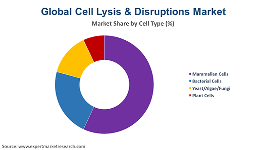 Global Cell Lysis & Disruption Market By Cell Type